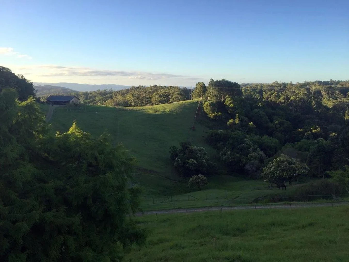 Shenanigans Spur Cottage