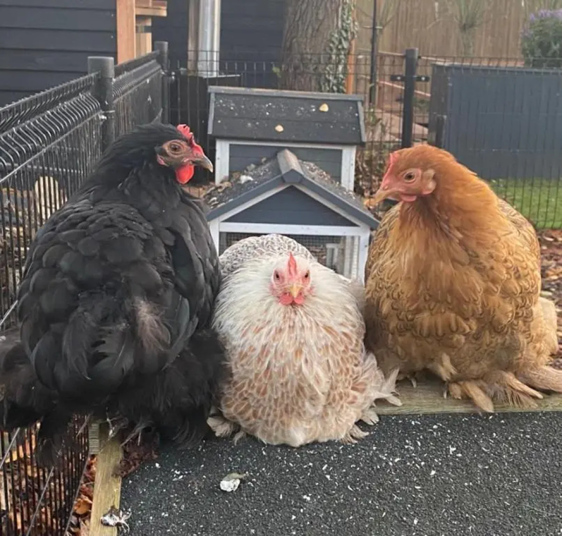 Casa aan de Plas, B&B met hottub en jacuzzi