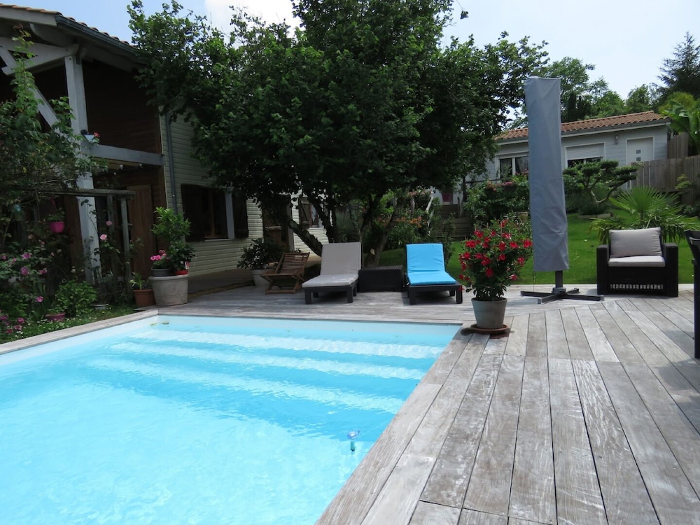 Les Arums de Fondeminjean