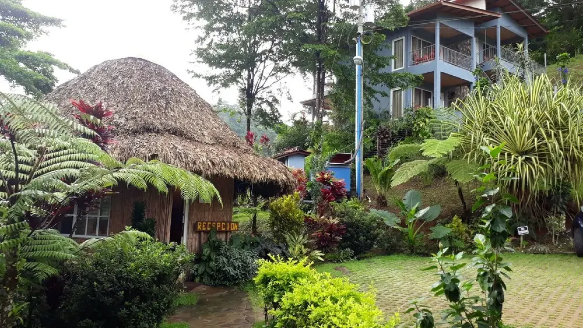 Villa Tavida Lodge
