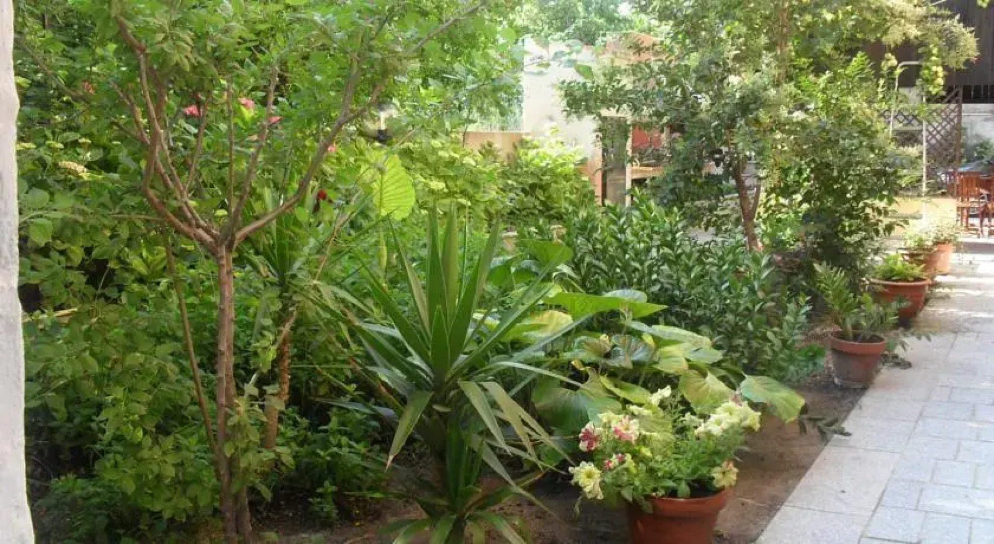 La Casa di Mannazzotta