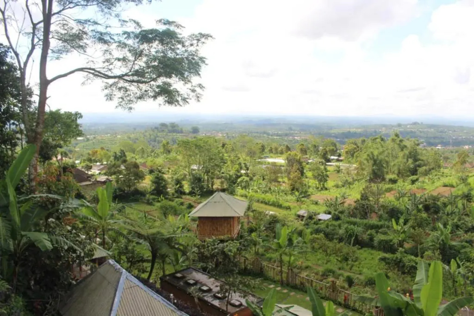 Bali Tree House Pelangi