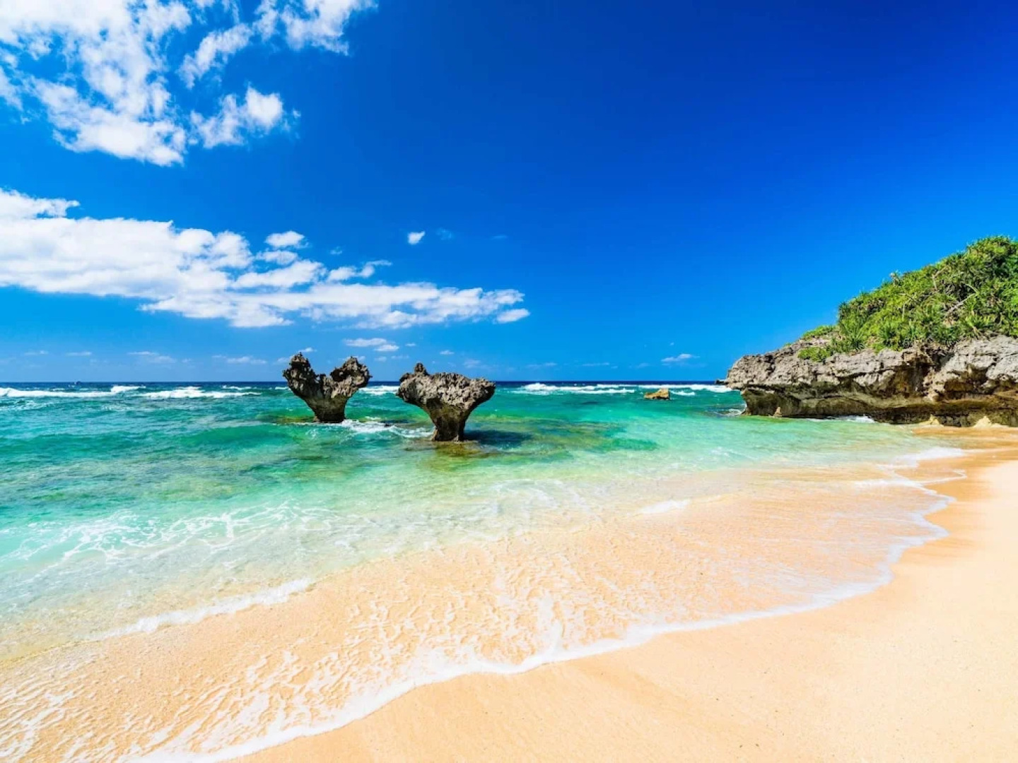 Matayoshi Coffee Farm