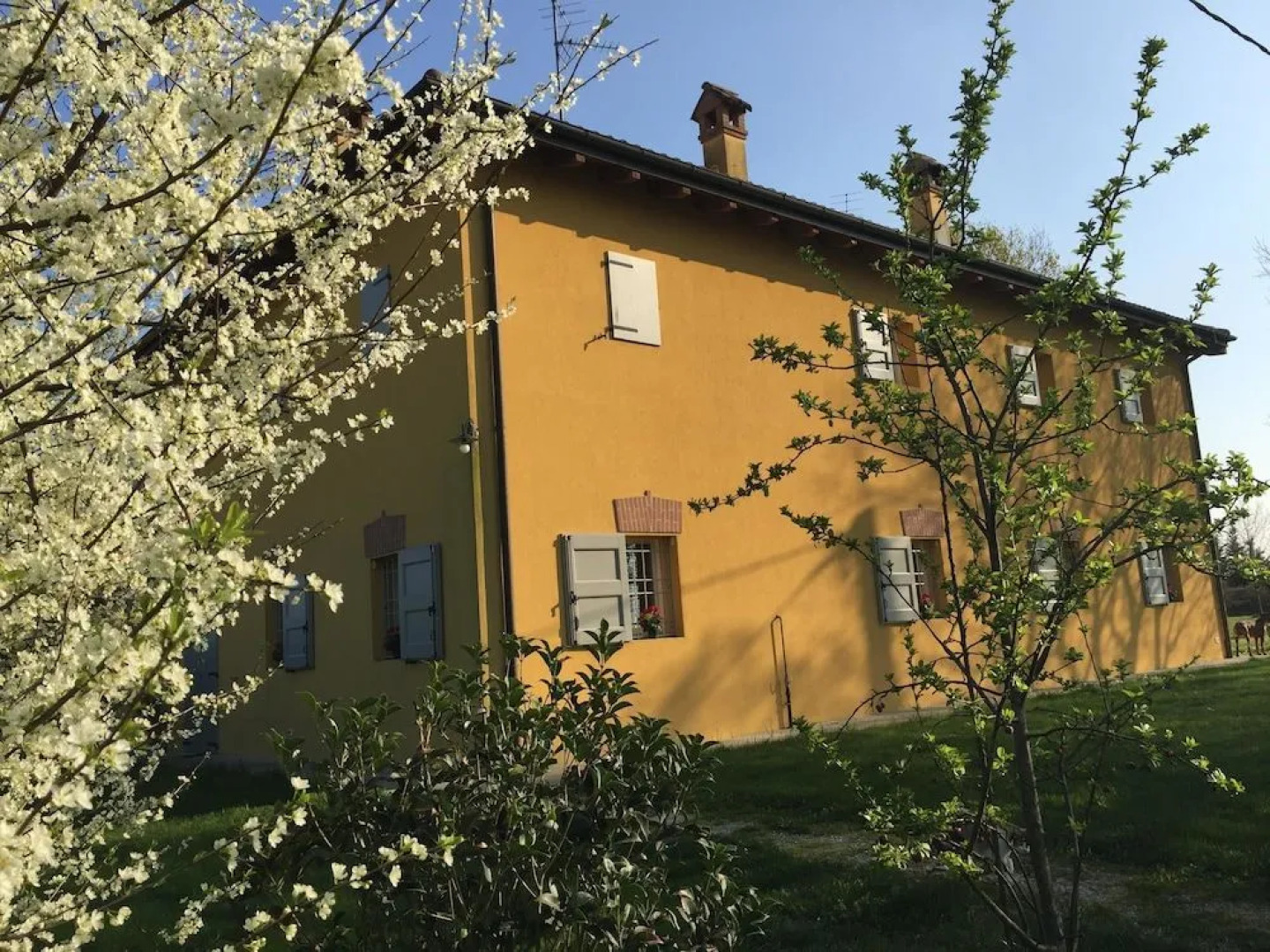 Vigoroso 41 Country House