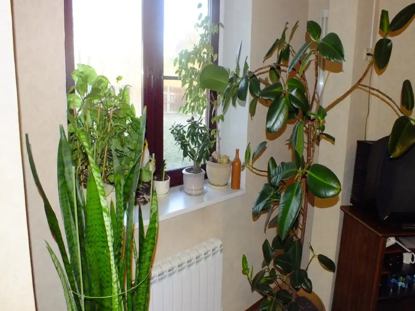 Гостиница Волга