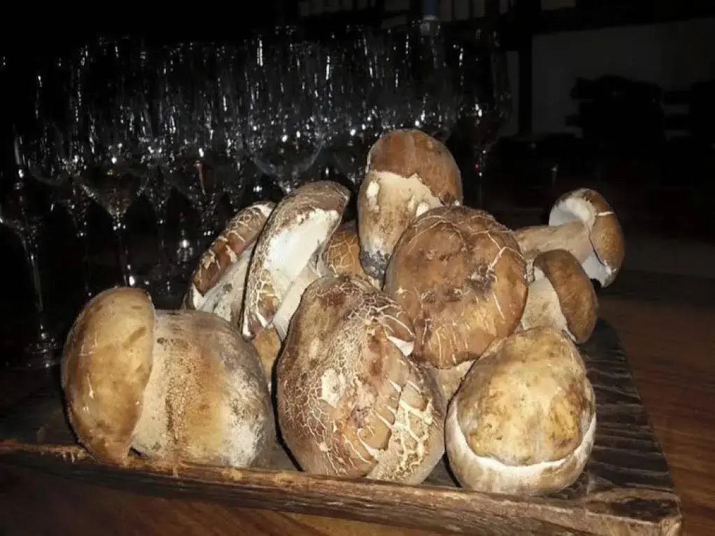 San Lorenzo Si Alberga