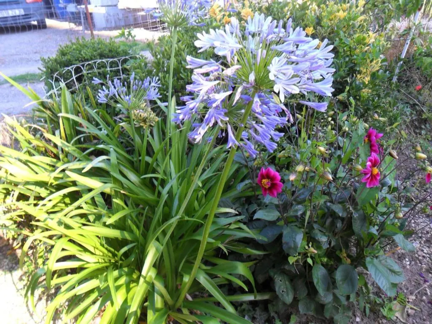 Gite Mont Saint Michel