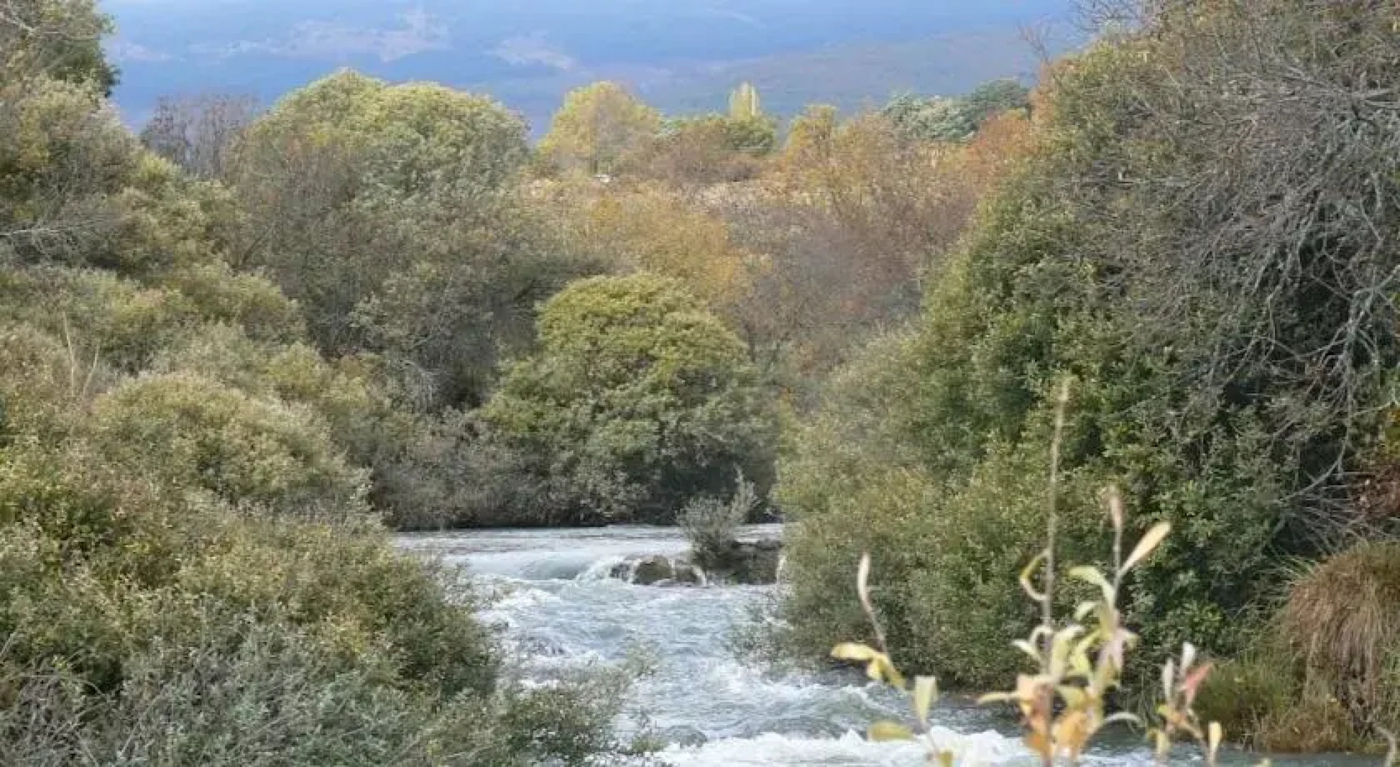Casa Rural Los Portales