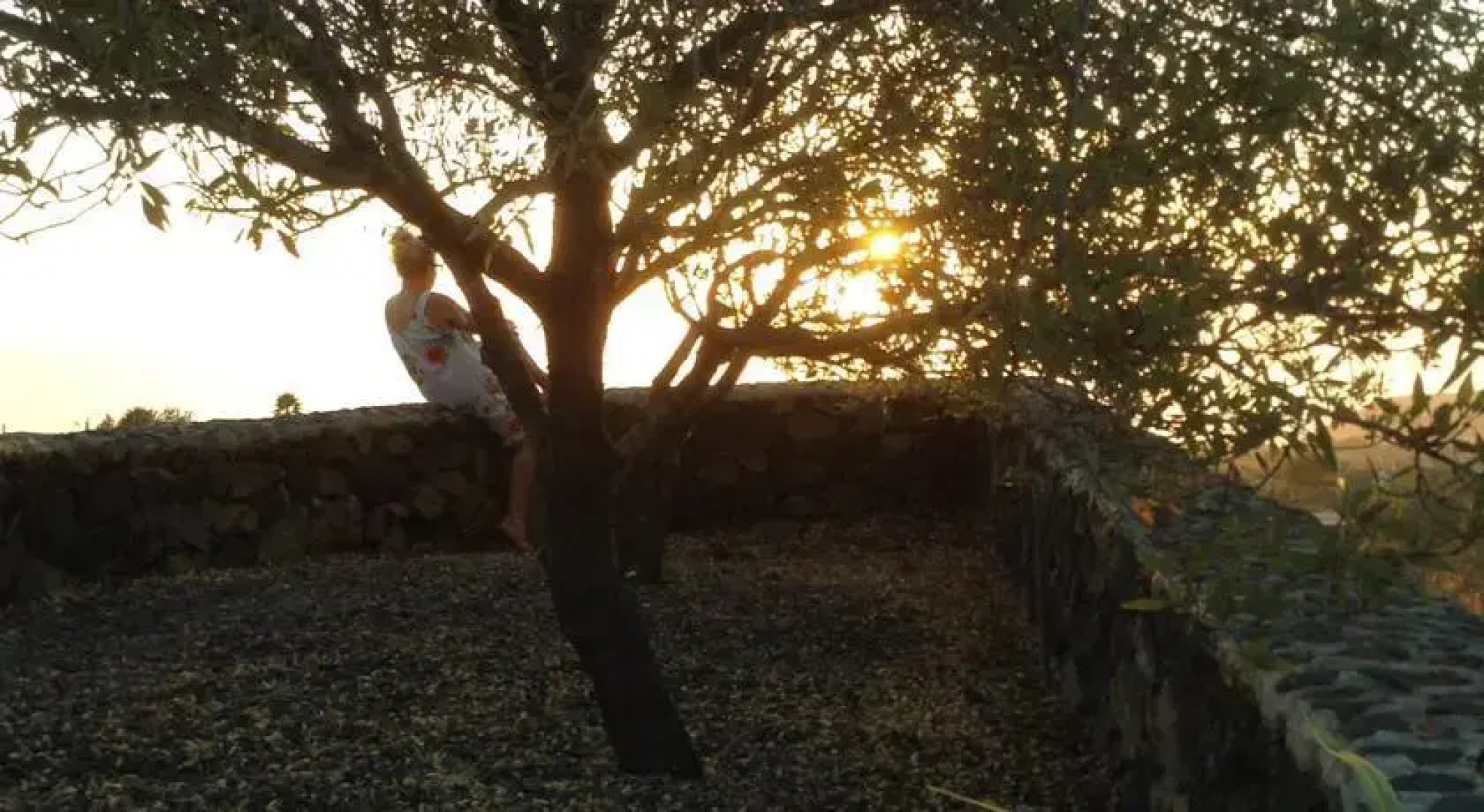 Casa El Morro Campitos