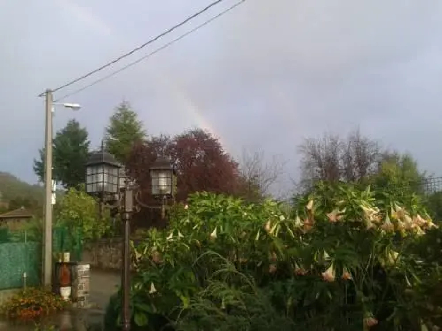 Hotelapartamentos Torres