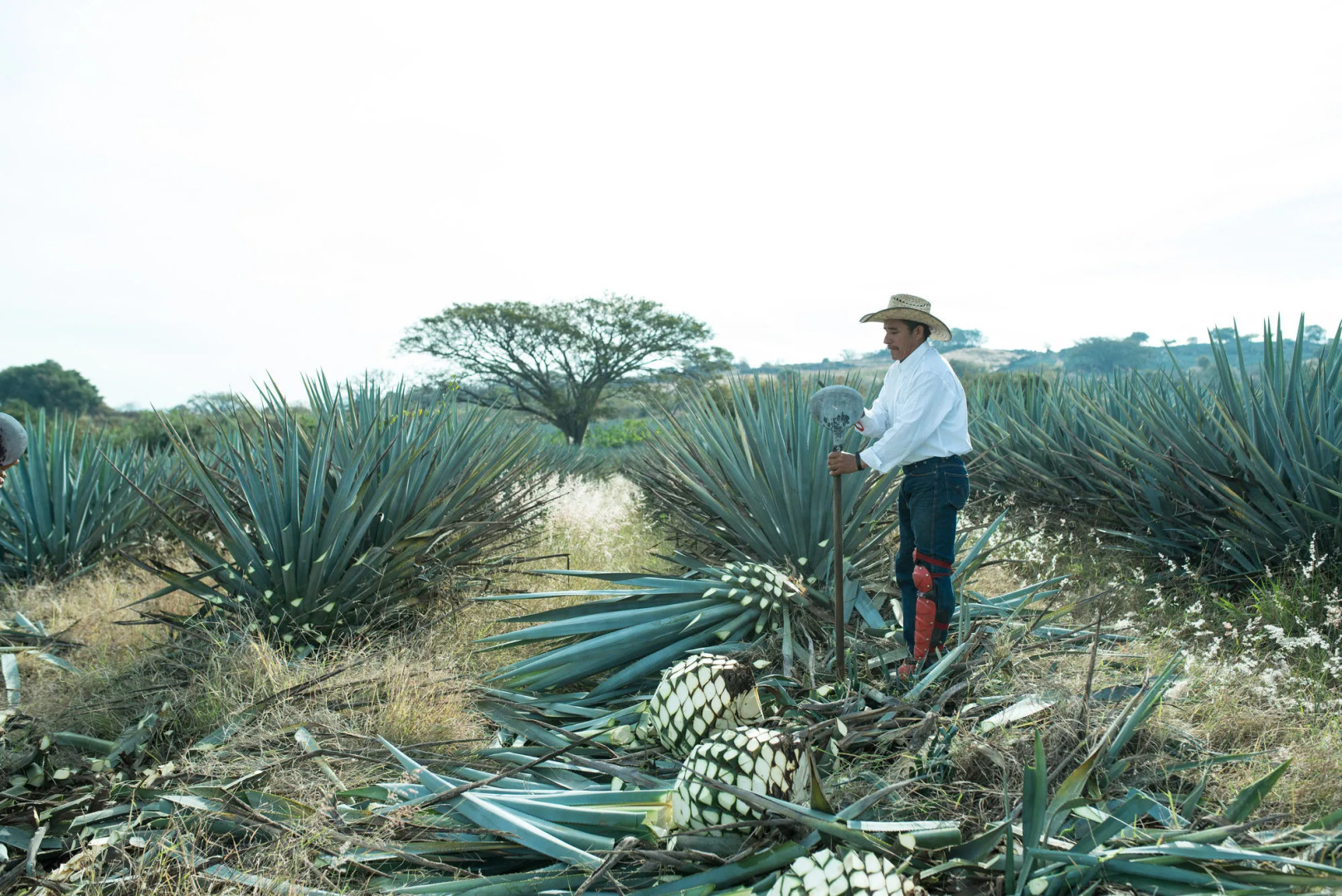 Hotel Solar de las Animas