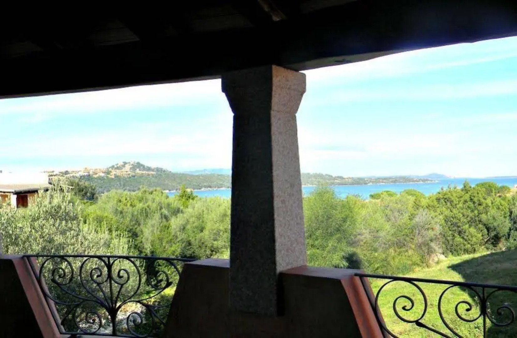 Asfodeli di Marinella