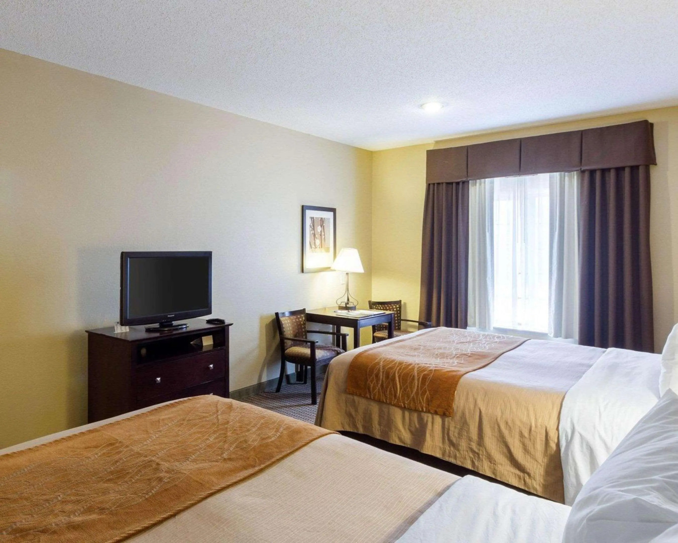 Comfort Inn & Suites Burnet