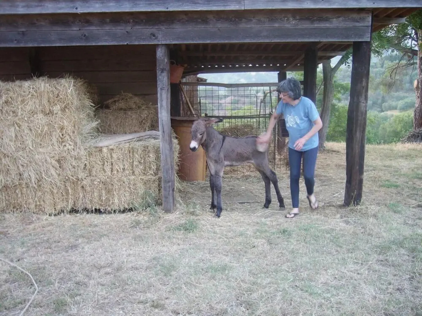 Agriturismo Le Serre