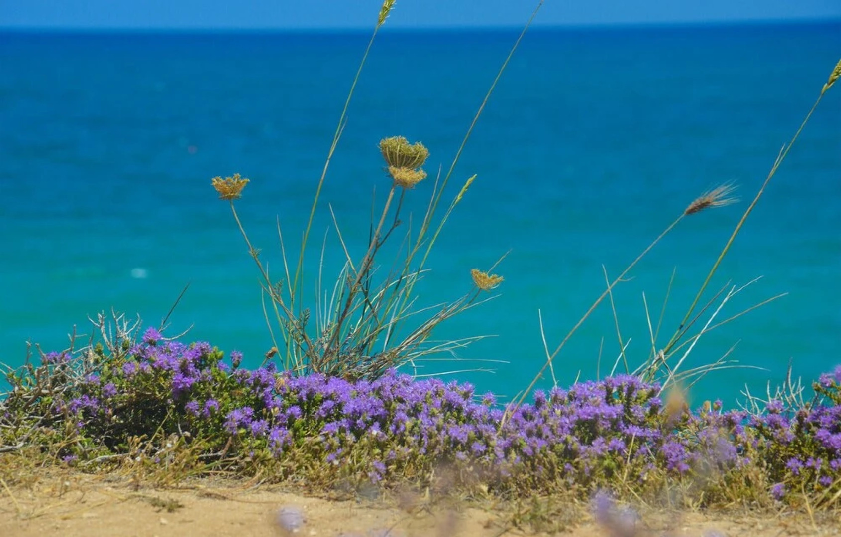 Awesome Home in Acquaviva Delle Fonti With Outdoor Swimming Pool, Wifi and 3 Bedrooms