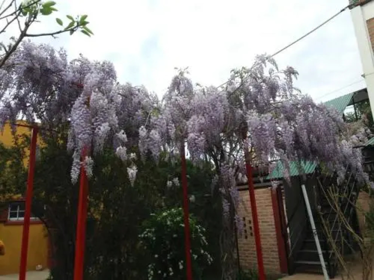 Encanto De Luna Suites