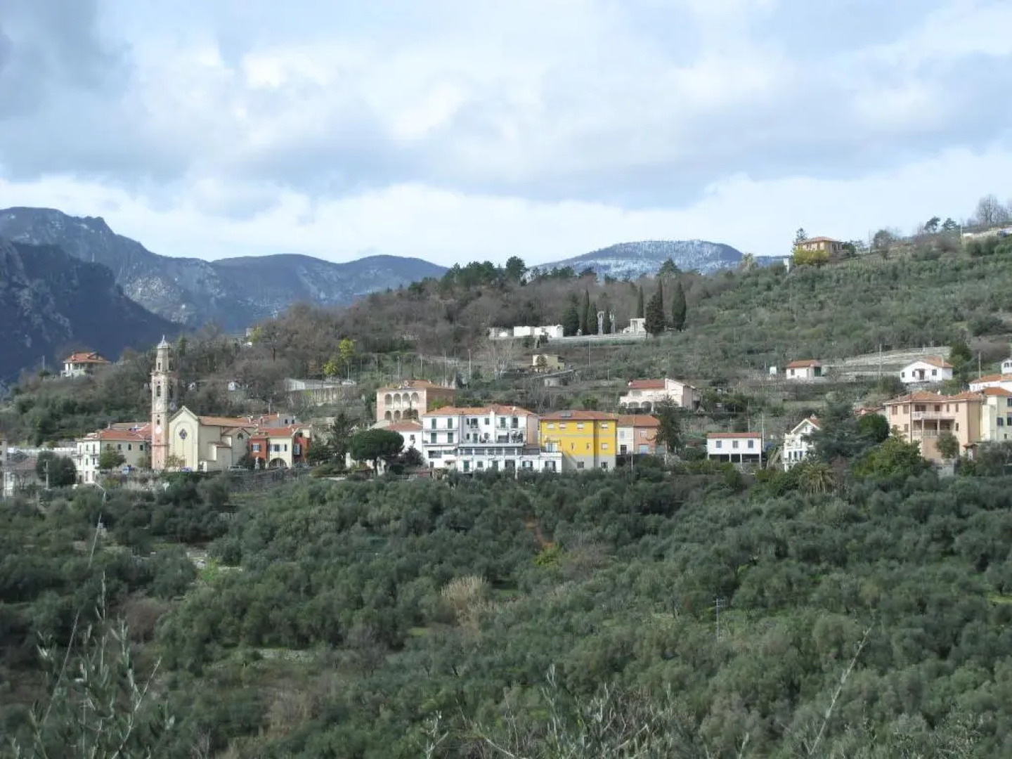 Appartamenti Tra gli Ulivi