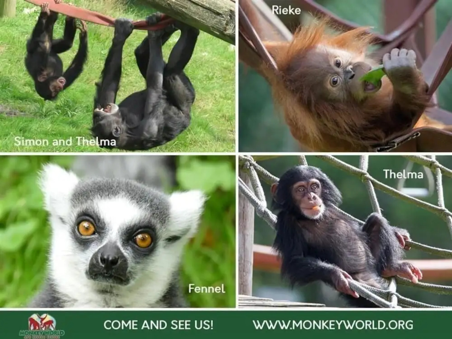 The Creamery, Dorchester