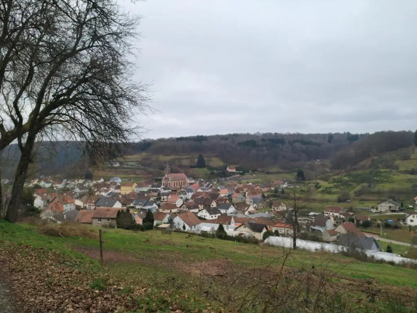 Gîte De La Vallée