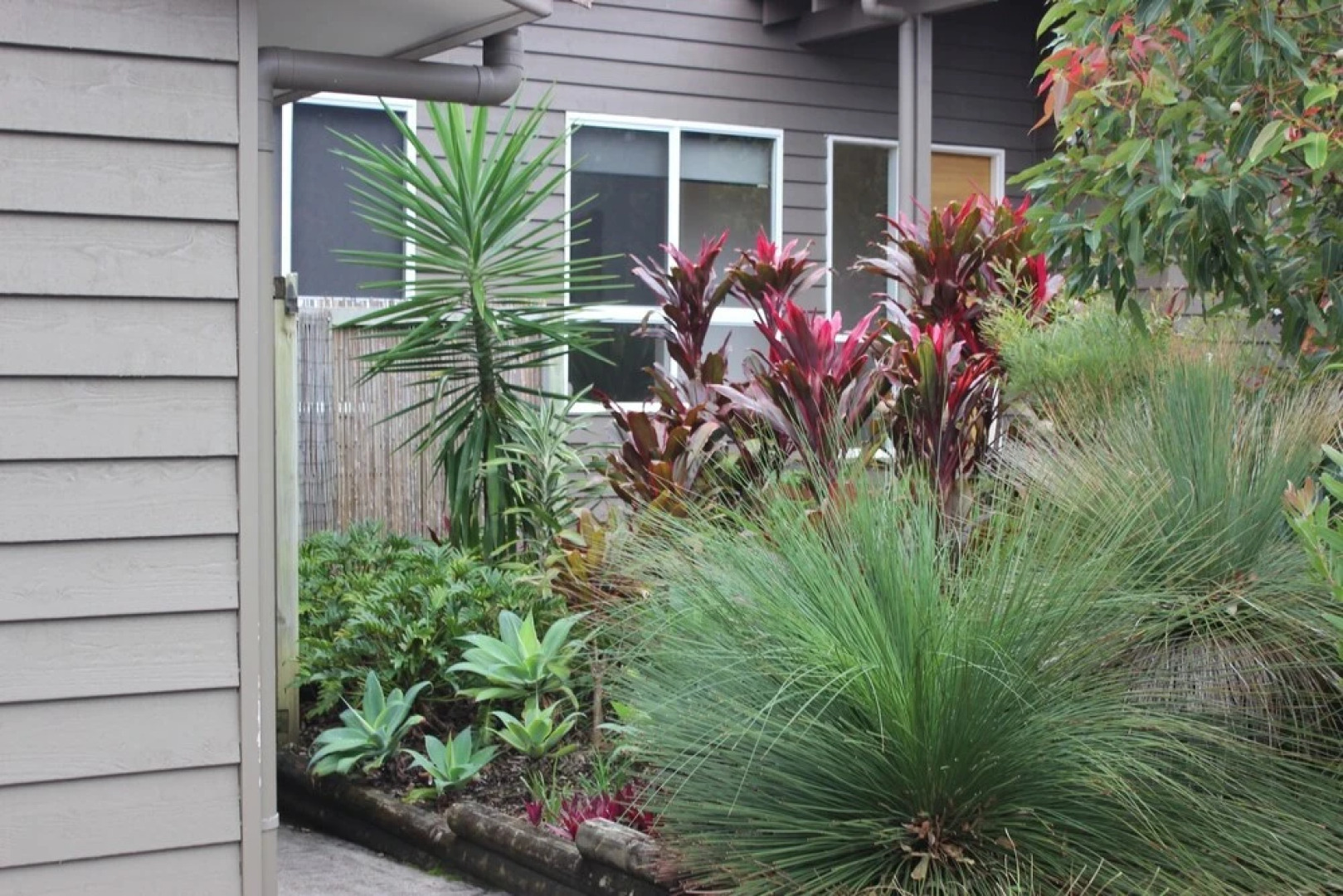 DREAMERS (4 Night Min)