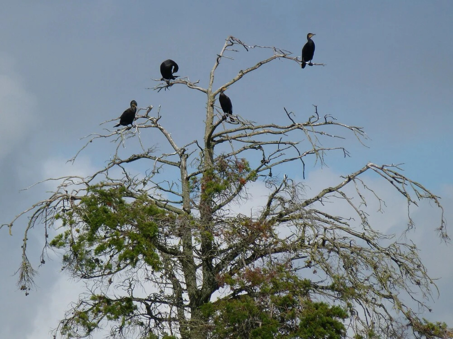 Nuit sur un voilier au Bono