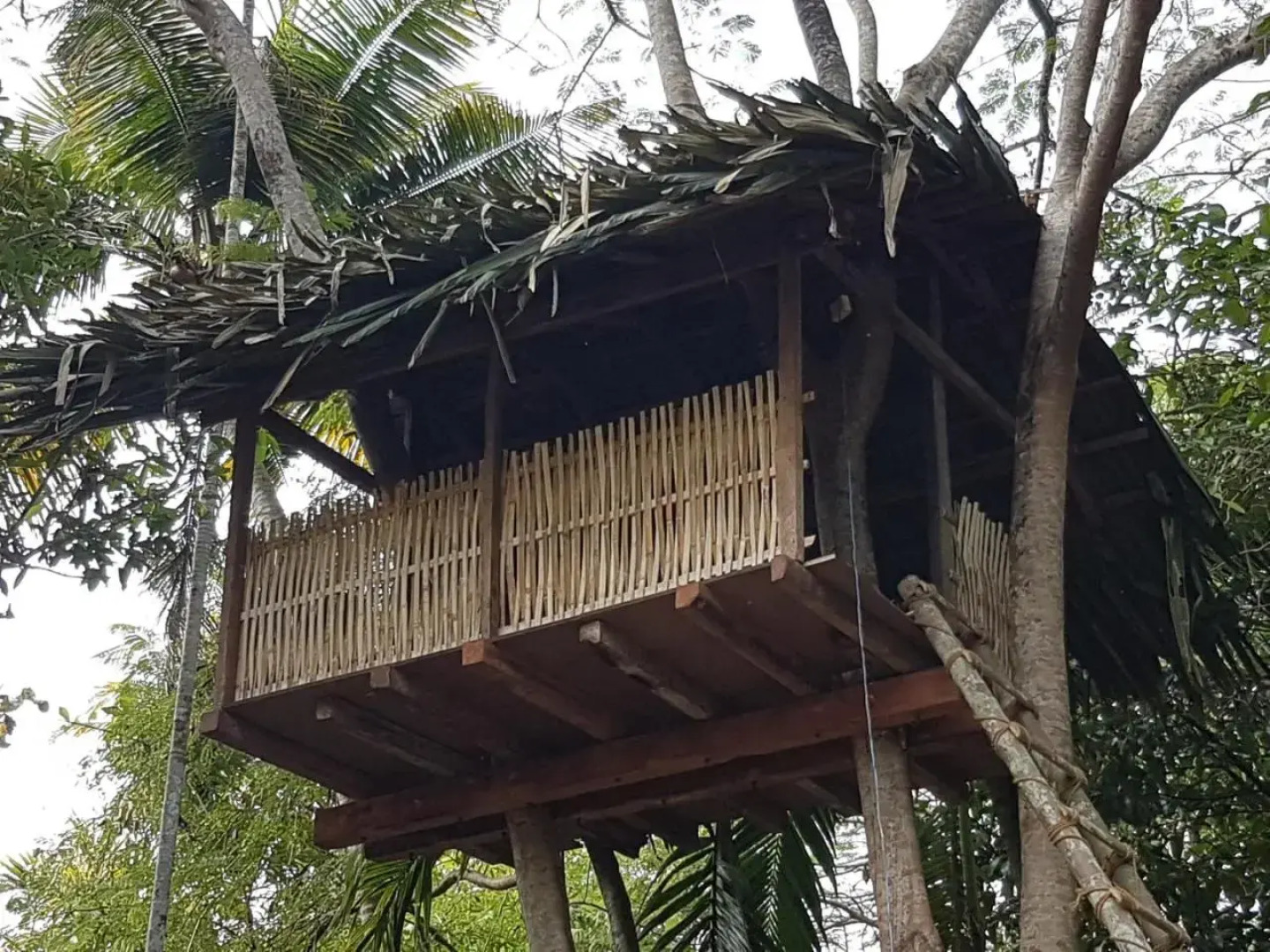 The Isle By Area 707