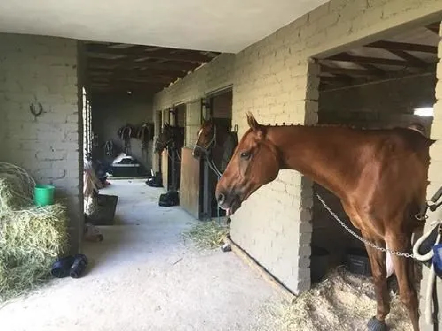 Aramesh Luxury Guesthouse