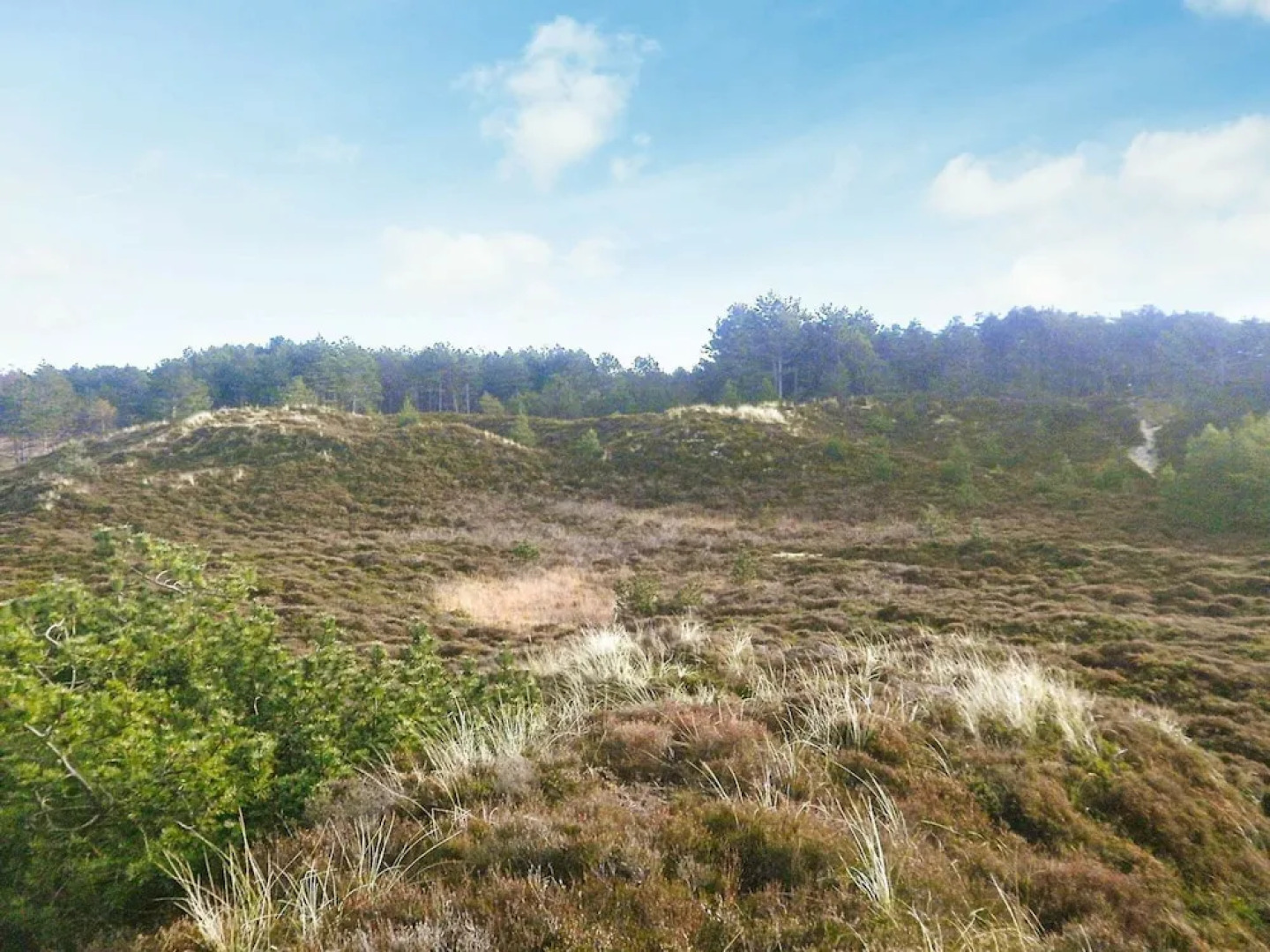 Scenic Holiday Home in Rømø with Hot Tub & Sauna