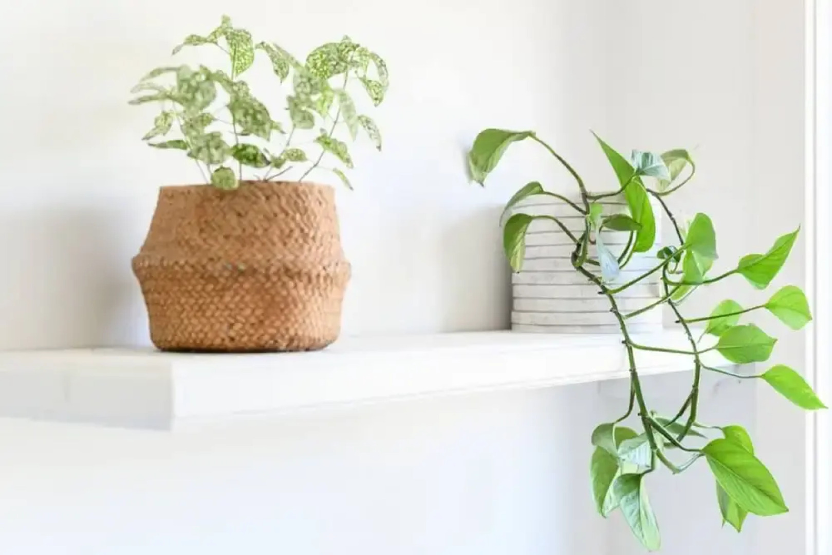 Your Ocean Oasis Ocean Country Views Spa Pet Friendly Fireplace