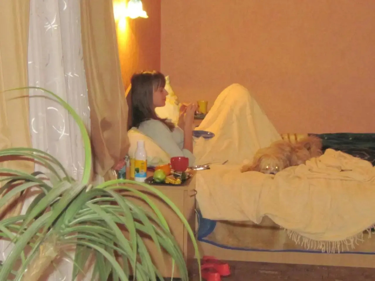 Economy Hotel Fiesta