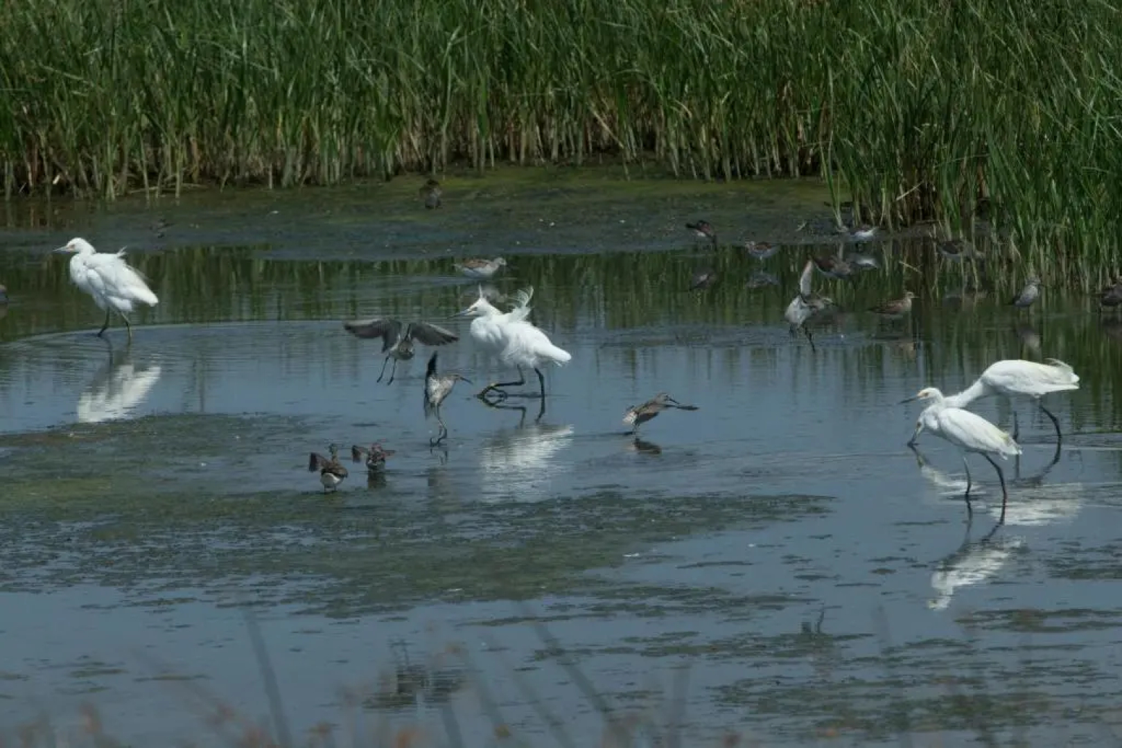 Rodeway Inn & Suites Hoisington