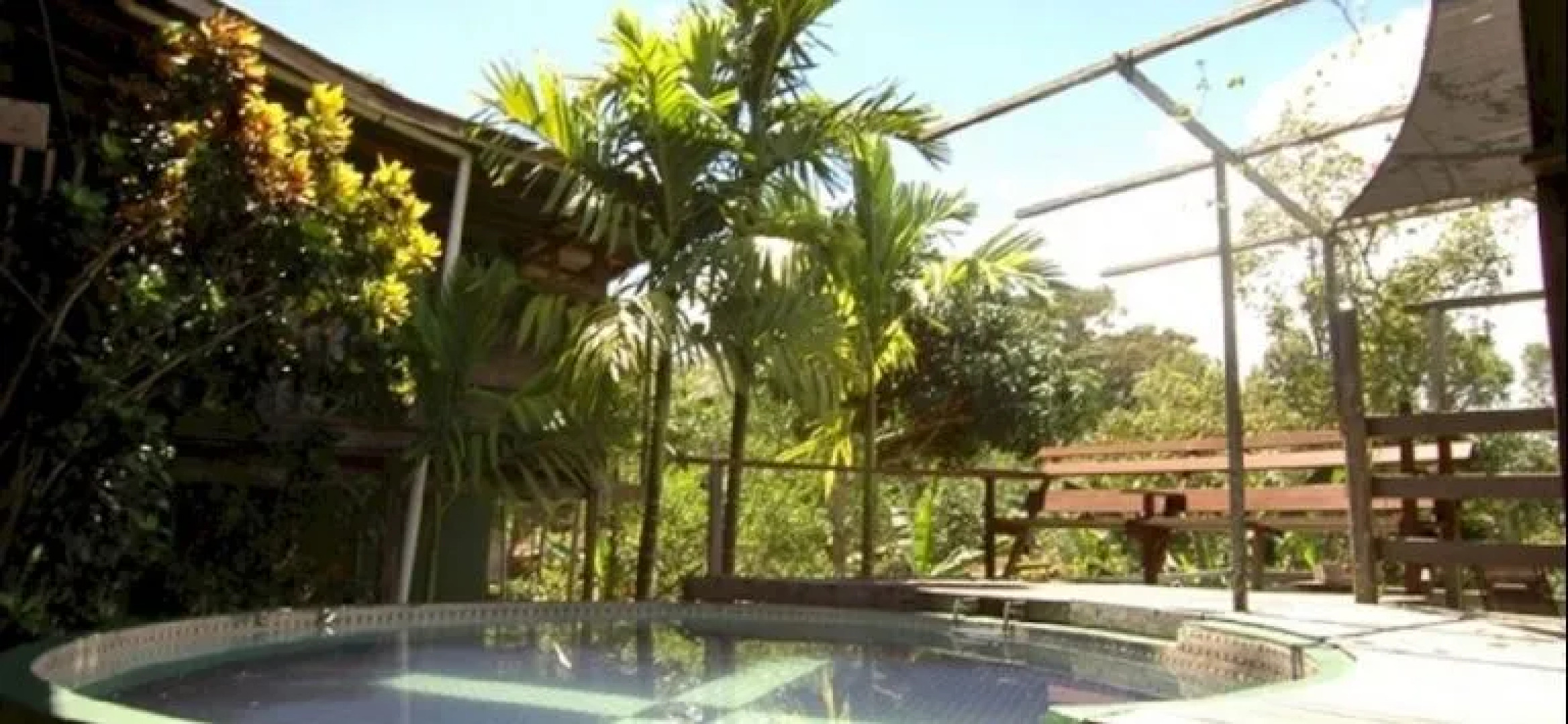 Treetops Jungle Lodge