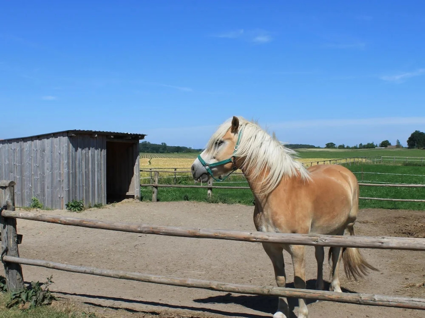 Charming Farmhouse in Hagebök With Garden