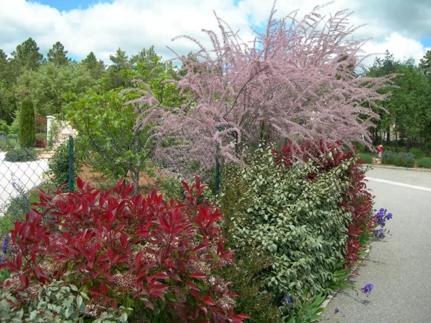 B&B Villa les Tamaris