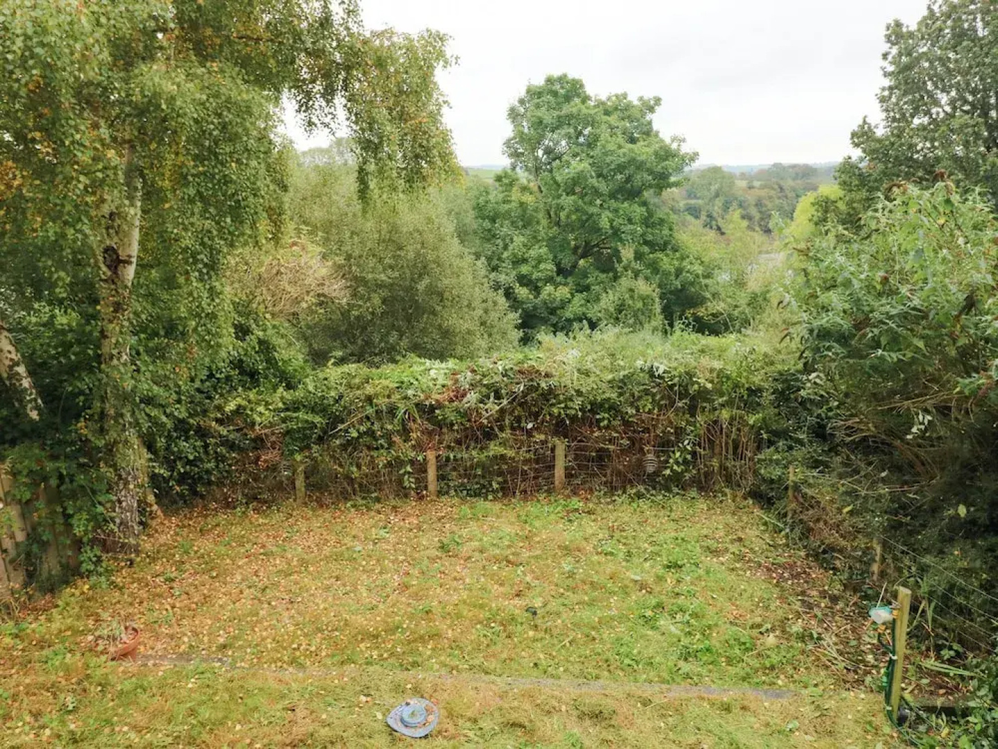 Rushfield