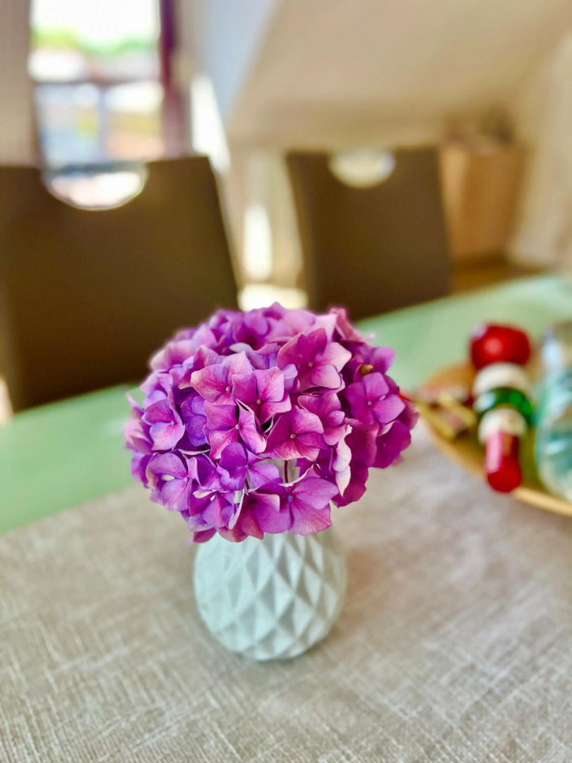 Peedy's luxuriöse 60m² Wohnung mit Balkonterrasse