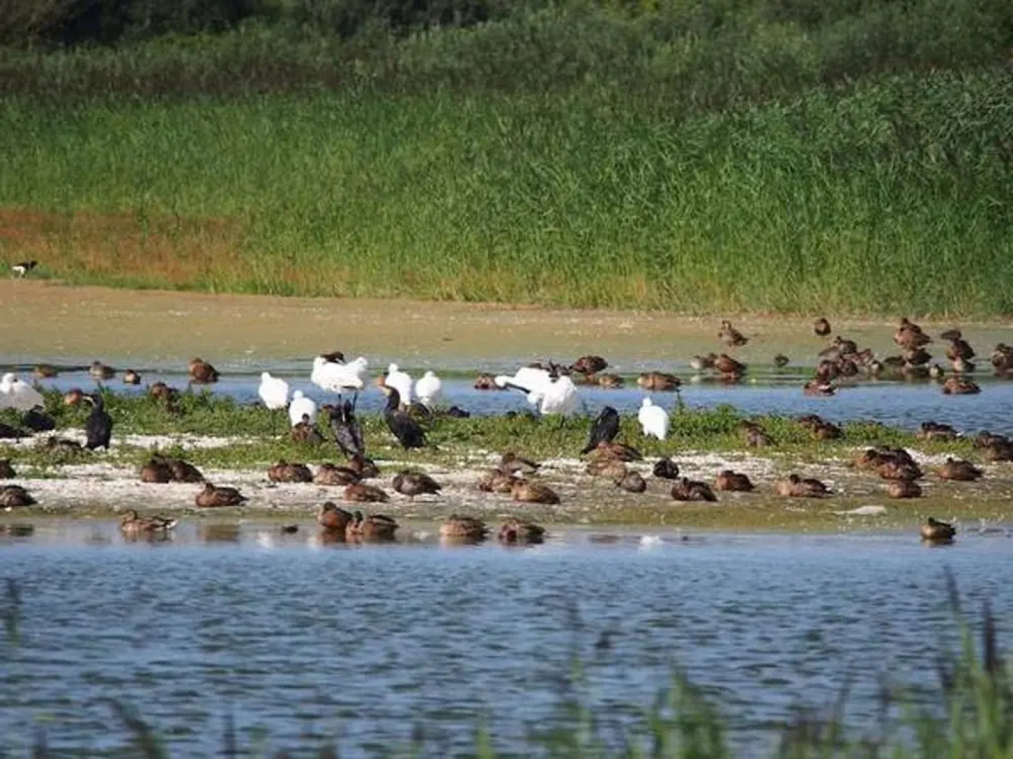 House With 2 Bedrooms in Le Crotoy, With Furnished Garden - 100 m From
