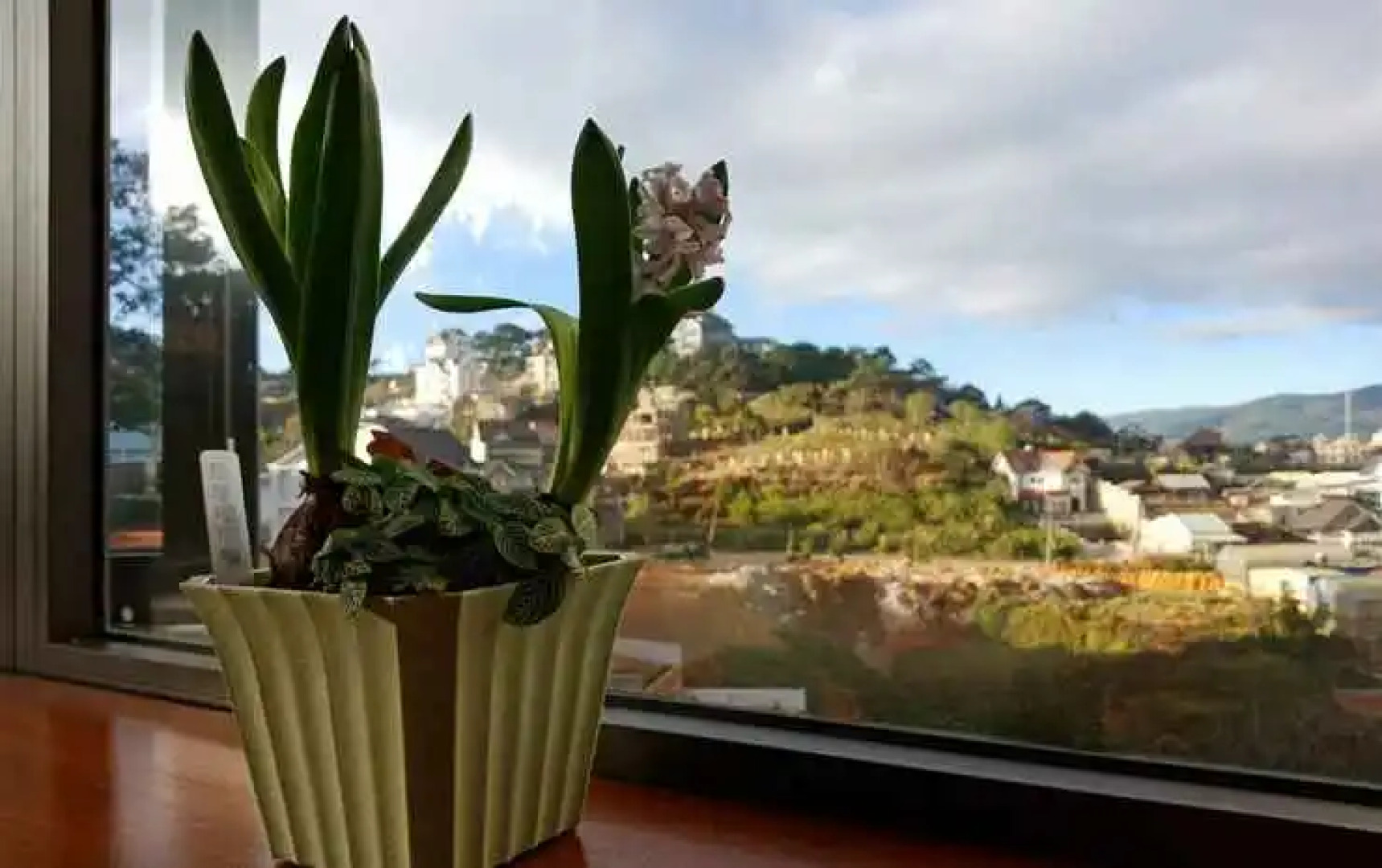 The Orchid Villa Dalat