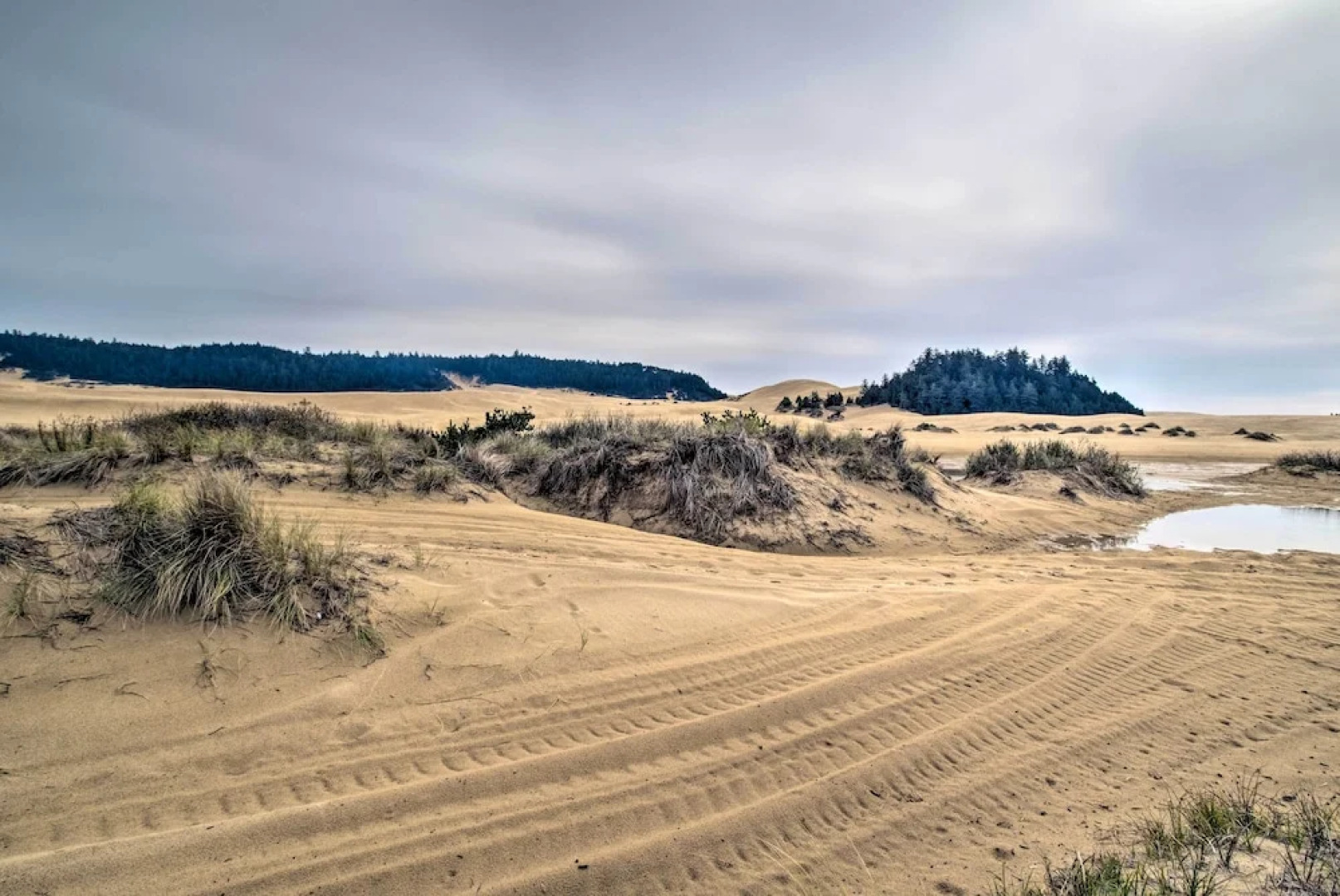 Winchester Bay Apt Near Dunes & State Parks!