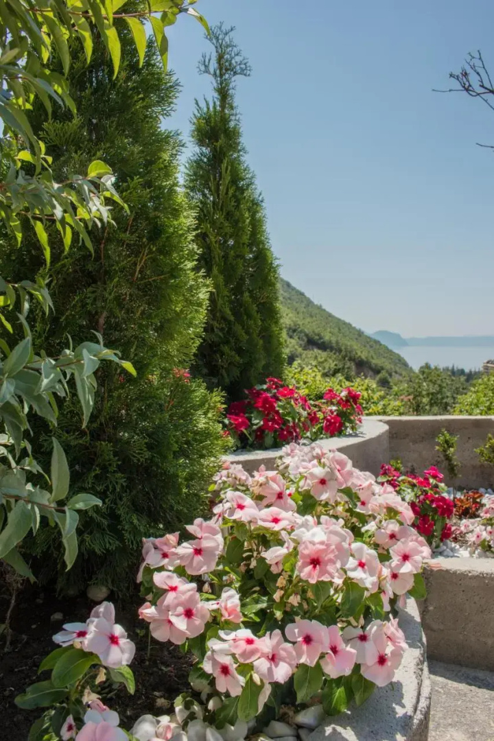 Stefanoski Guesthouse
