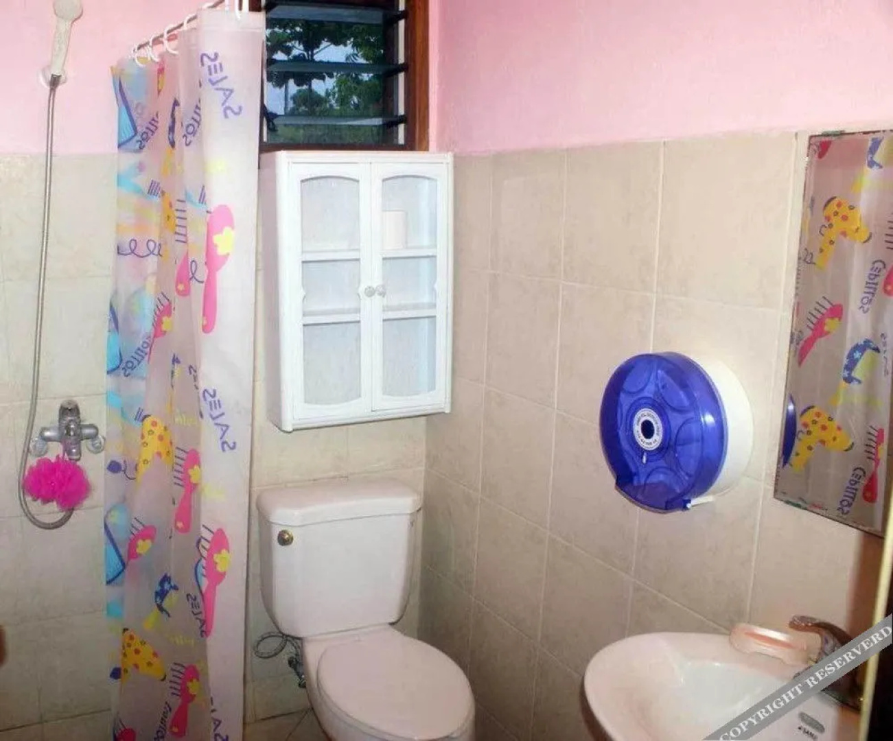 Bluepango Guest House  Hostel