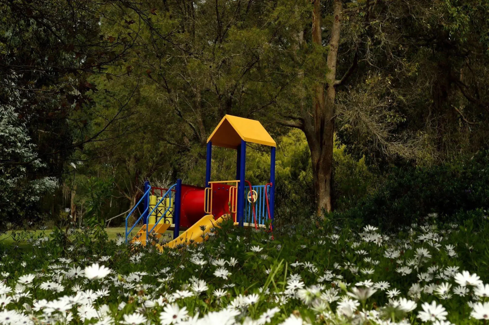 Diamond Forest Farm Stay