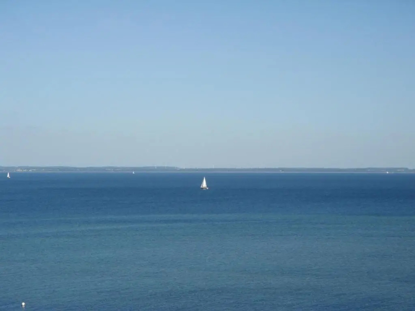 Strandläufer - [#29764]