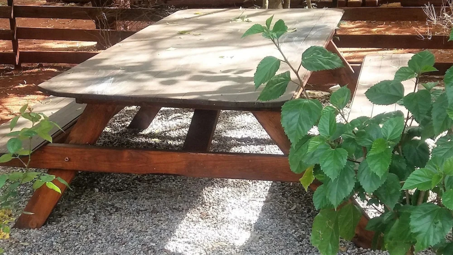 Woodland Gardens