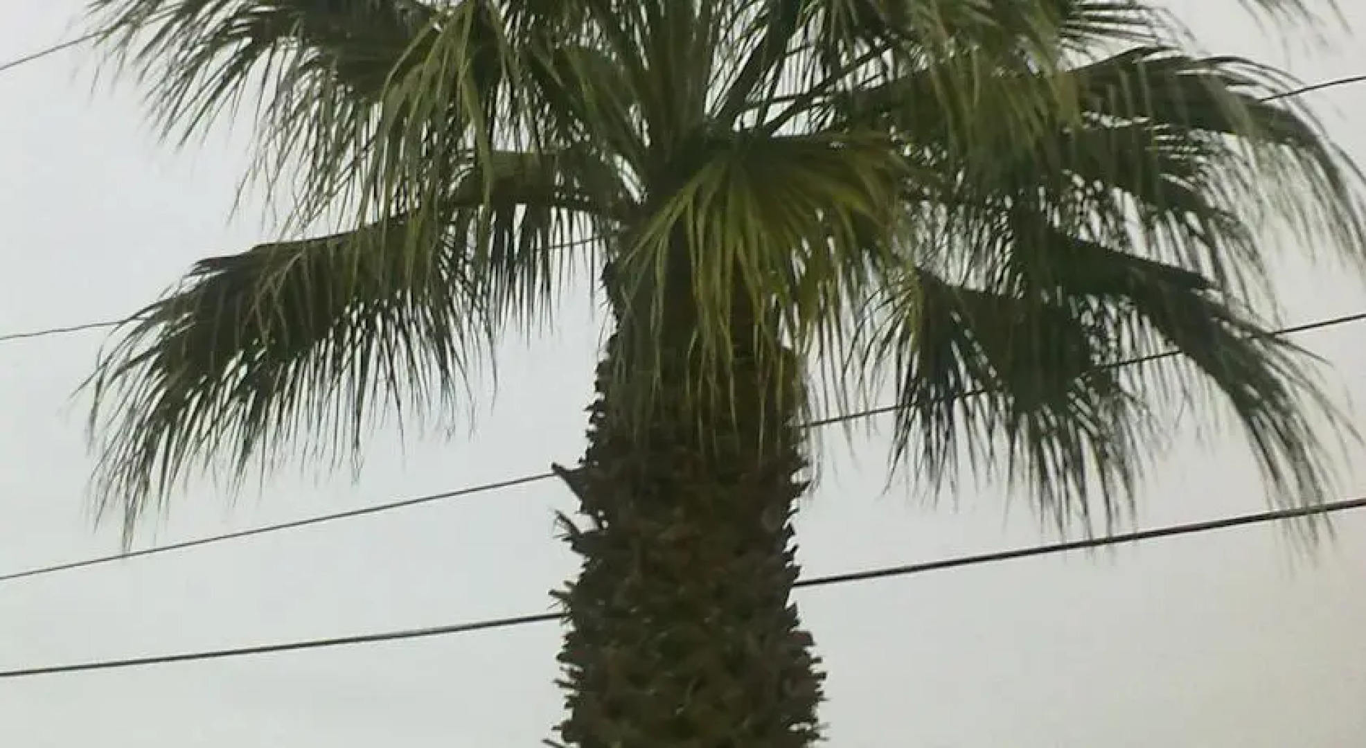 Travelodge Ridgecrest