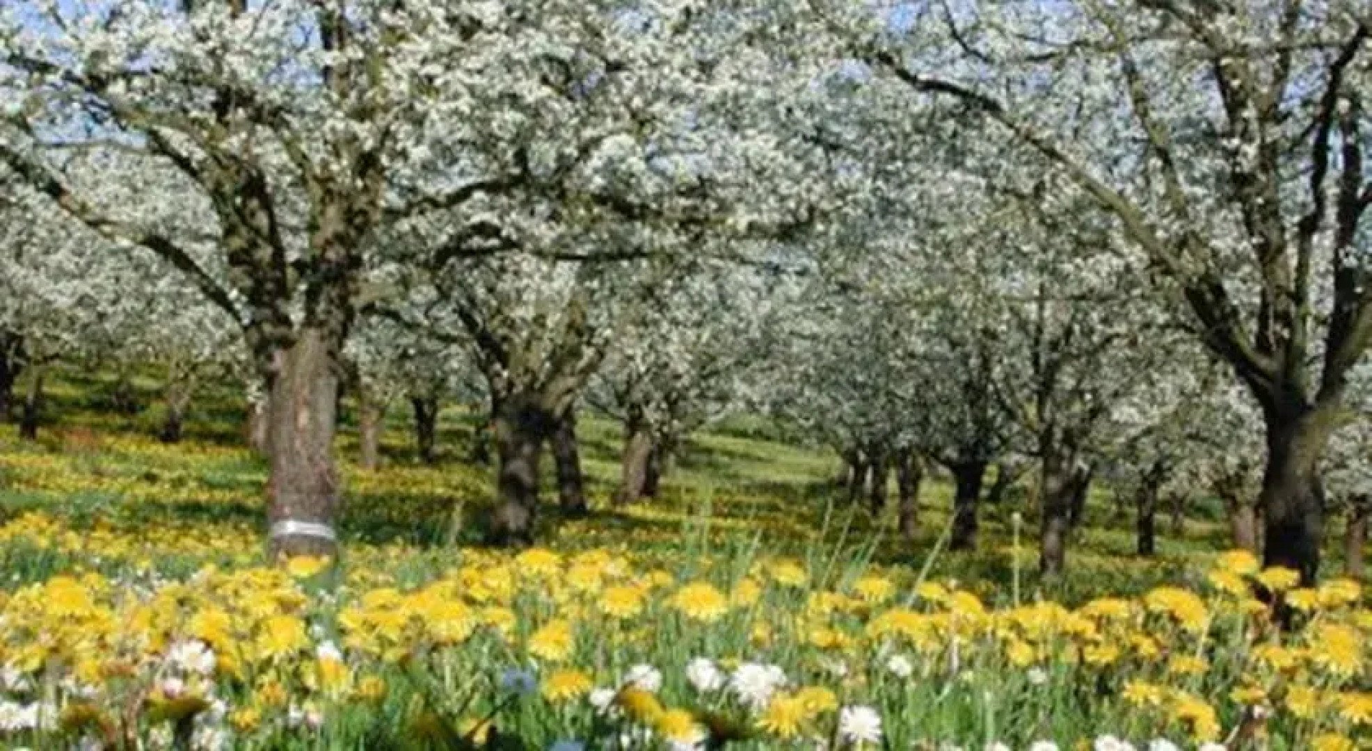 Roulottes Des Bastides De Guyenne