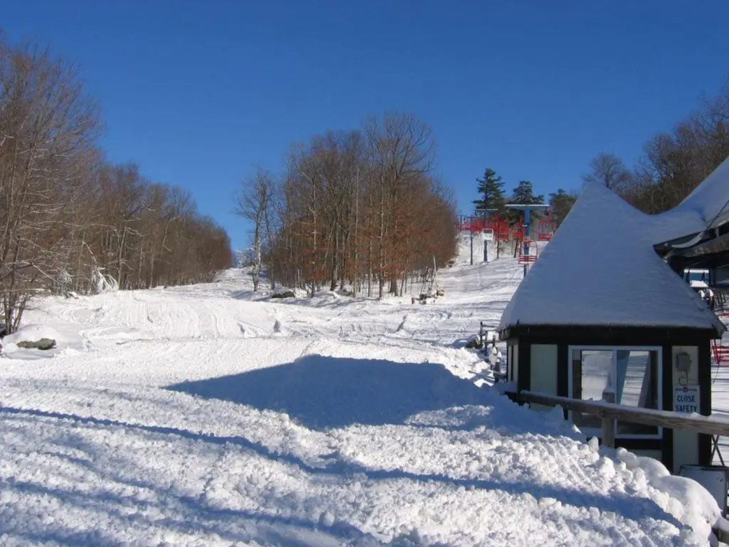 Saw Creek Cabin - Regent Hilltop