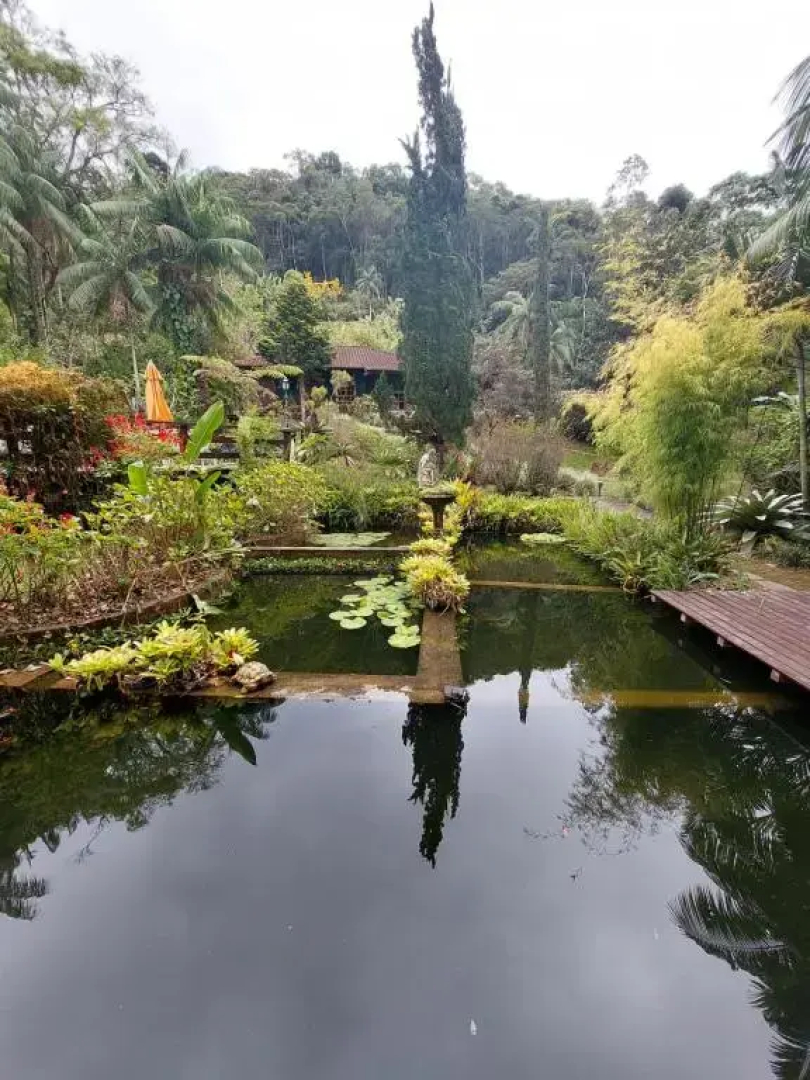 Lumiar Eco Lodge - Chalé Telhado Verde
