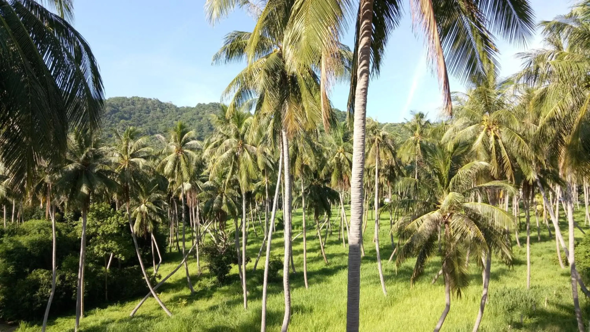 Good Dream Hotel - Hostel