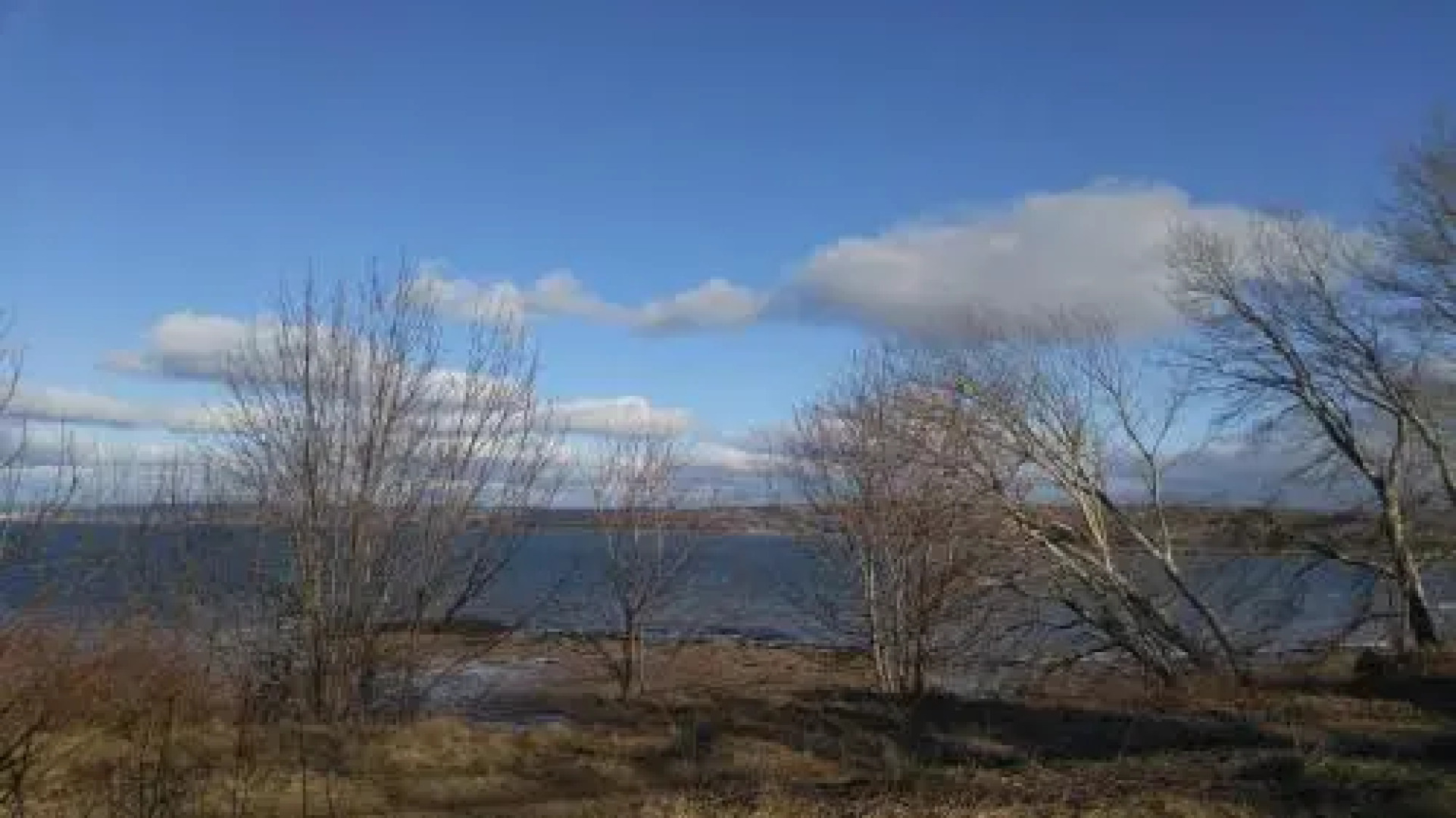 The Montague Rose B&B